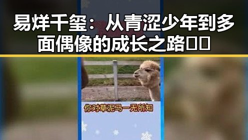 易烊千玺：从青涩少年到多面偶像的成长之路 🤔✨