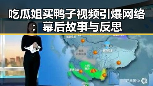 吃瓜姐买鸭子视频引爆网络：幕后故事与反思